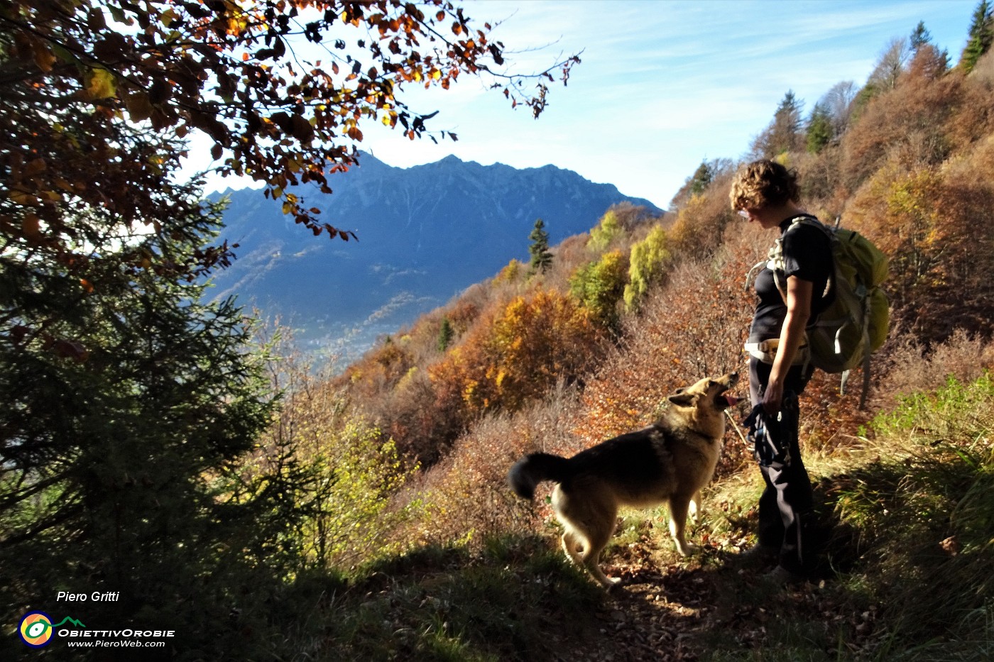 15 Spiraglio nel bosco con vista in Alben.JPG